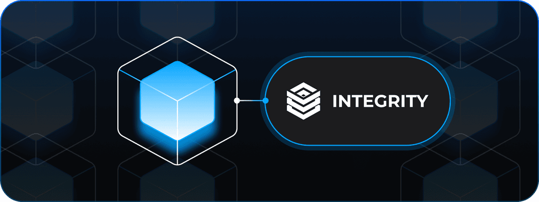 Integrity verifier