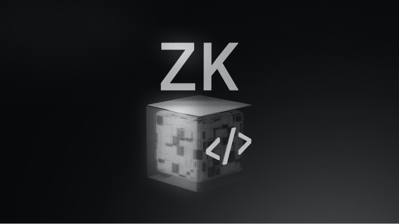 ZK Coprocessor
